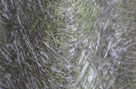 Deans Green fibreglass roof work